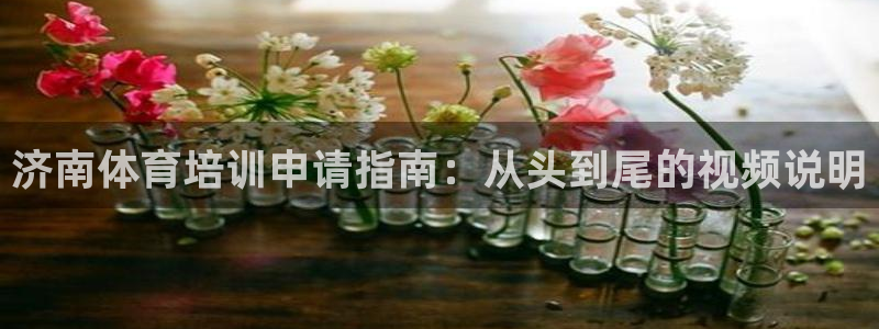 欧陆娱乐挂机怎么玩的：济南体育培训申请指南：从头到尾