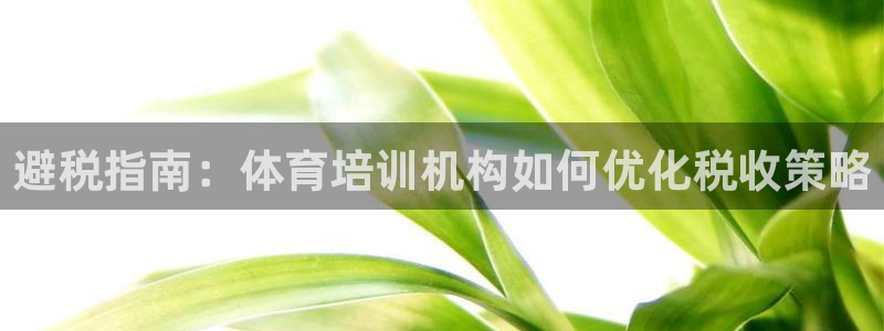 欧陆娱乐登录测速软件：避税指南：体育培训机构如何优化