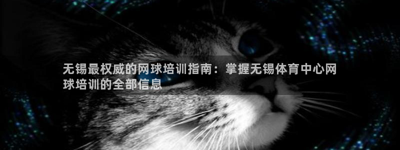 欧陆娱乐的故事有哪些：无锡最权威的网球培训指南：掌握