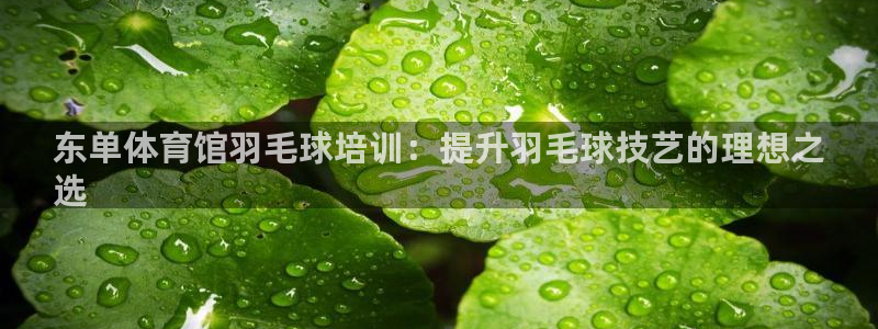 欧陆娱乐登陆平台官网：东单体育馆羽毛球培训：提升羽毛